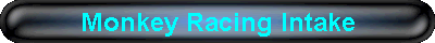 Monkey Racing Intake